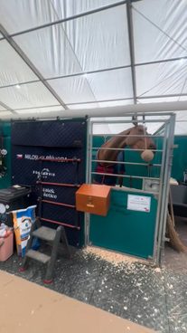 Jak jinak lépe zakončit letošní sezónu, než na Prague Playoffs! 🤩🐴🦁