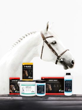 🐴 Global Medics nově v EQS! 🐴