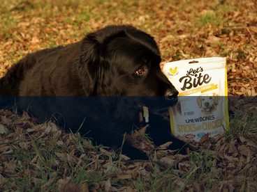 Testujeme pro vás - pamlsky pro psy Let´s Bite