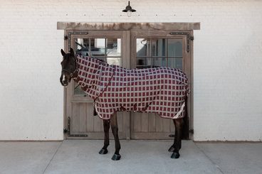 ✨ Luxus, funkčnost a styl – to jsou deky Kentucky! 🐎💫