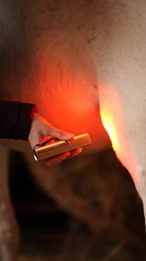 Další tip na domácí péči, který je právě teď ve 13 % slevě ‼️POSLEDNÍ ŠANCE