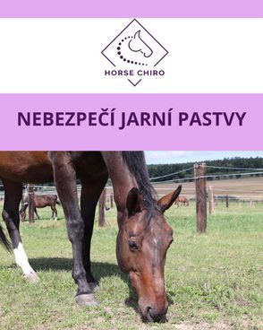 🌸 Jarní pastva: Dar, nebo hrozba pro vašeho koně?