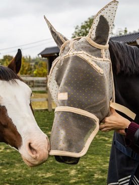 💘 Novinky od Kentucky jsou tady!