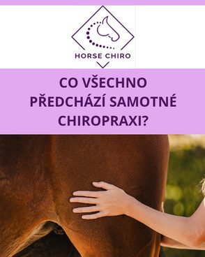 Chiropraxe není o „křupání“ – je to mnohem komplexnější vyšetření . Aby bylo ošetření bezpečné a přineslo reálný terapeutický e