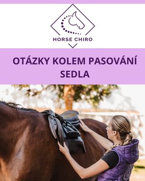 ❓Jedno sedlo pro dva koně?