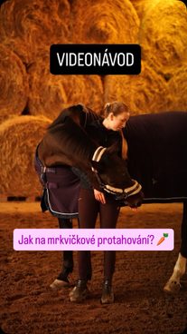 Mrkvičkové cviky: Jak na to? 🥕🐴