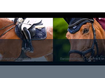 Jeden parkur, dva různí koně