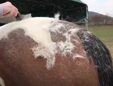 Tipy, jak na jarní línání