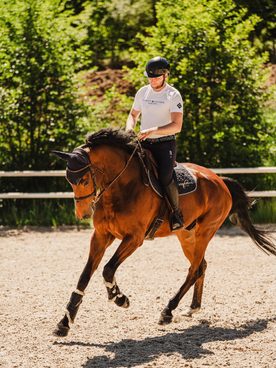 ☀️ Jak pracovat s koněm v horkých dnech? 🐴