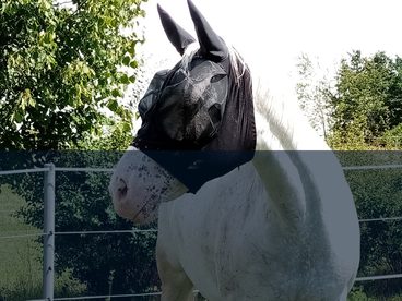 Testujeme pro vás - maska na hlavu Kentucky Slim Fit