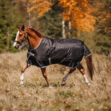 Výběhové a nepromokavé deky