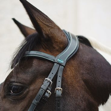 Seznamte se - PASSIER