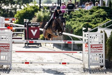 My picture perfect ponies doing their best at the czech championship🇨🇿🚀❤️‍🔥