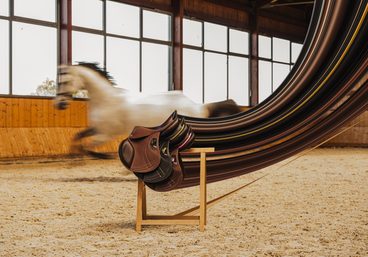 equiservis￼Sedla CWD v Equiservisu – špičková kvalita, pohodlí pro koně i jezdce a precizní zpracování. 🐴✨