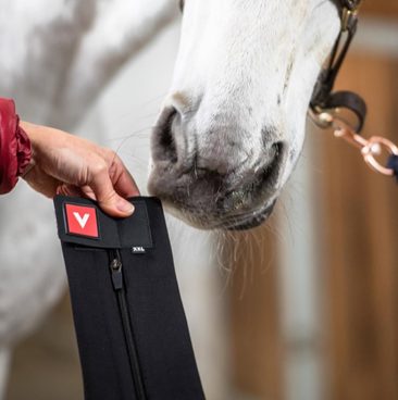 VETOFLEX - nová značka v naší nabídce