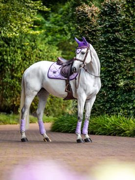 ✨ Nové barvy podsedlovek jsou tu! ✨