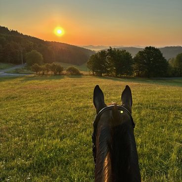 10 tipů pro horké dny