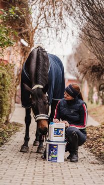 Krmení Haves u nás boduje už skoro rok!🥳 pro obě holky jsem hledala kvalitní krmení bez ovsa a s nízkým obsahem cukru😇Zároveň a