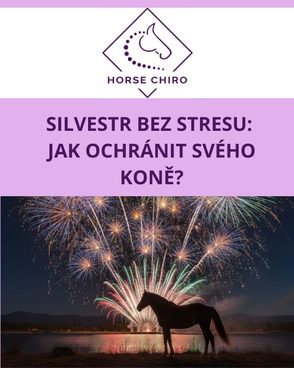 Jak ochránit svého koně na Silvestra?🐴