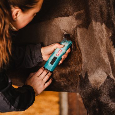 Stříhání koní - jak na to?