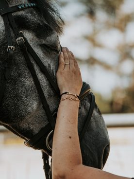 Pro všechny, kteří mají srdce u koní. 🐴