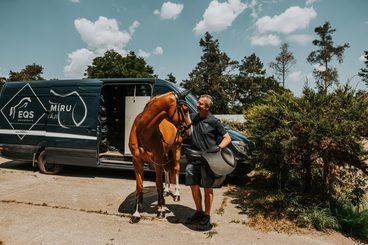 🐎 Pasování sedla není luxus, ale základ.