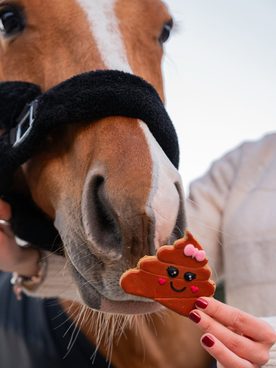 Čím víc pamlsků, tím víc lásky 😍 🍓🐴