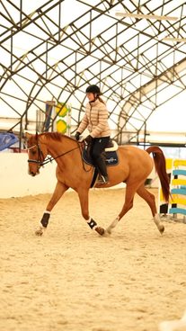 🔎 Délka lícnic u uzdečky – proč na ní záleží?