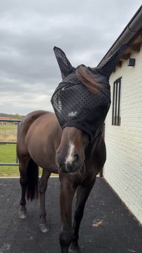 🛡️ Kentucky Heart – lehká maska pro hlavu a nozdry