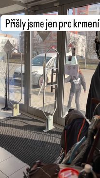 Jakmile moje dítě vleze do Equiservis,