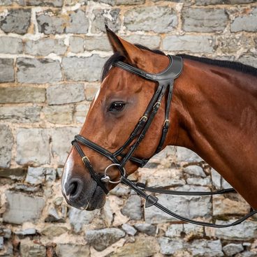 👍Uzdečka Dy’on Difference NEGXAU