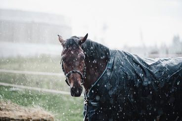 🌧️🐴 Déšť na obzoru? Ideální čas vybavit sebe i svého koně!