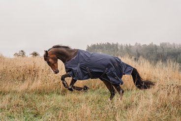 👍Deky za pár korun a vydrží i takový bordel? 🐎