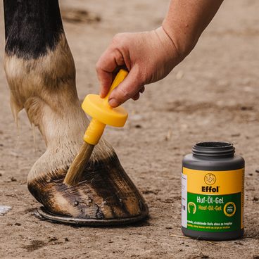 Pravidelná péče o kopyta