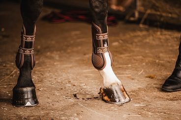 Equiservis je i letos jedním z důležitých partnerů seriálu Českého skokového poháru! Pro výherce žebříčku ČSP máme luxusní skok