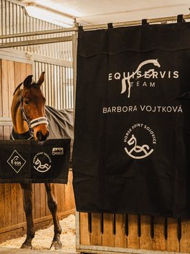 🎉 SLEVA 13 % NA TRANSPORTNÍ VYBAVENÍ! 🎉