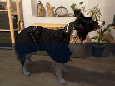 Testujeme pro vás - deka na psa Back On Track mesh