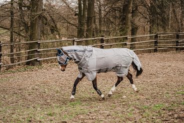 🐴✨ AKCE PRO VŠECHNY KOŇÁKY! ✨🐴 Hmyz je zpátky! Máme řešení!