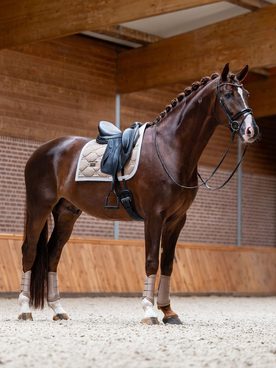 ✨ Nová kolekce Equestrian Stockholm je tady! ✨