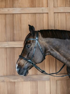 Představujeme novinku, která potěší bezudidlové jezdce 🐴 – uzdečka Dy’on Bitless WO. Je navržena tak, aby poskytla jemnou a pře