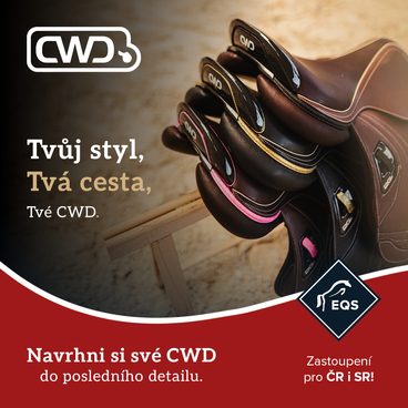 Sedlo CDW přesně podle tvého stylu