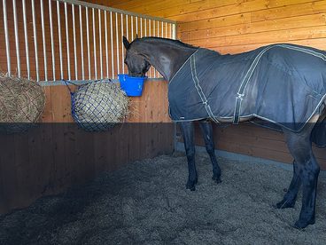 Testujeme pro vás - deka síťovaná Back on Track Sienna Cooler