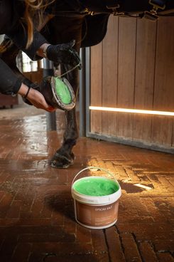 Epsomská sůl pro koně od Grooming Deluxe by Kentucky – přírodní pomoc pro unavené svaly i kopyta. 🐴✨