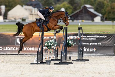Diamant #💎 wraps up the season with 3 clear rounds and 2 placings 🏆 at @chuchle.arena.praha.official ✨ So proud of this 7-year-