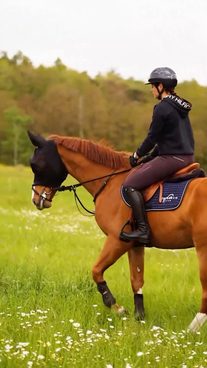 🐴 Jezdecké masky teď v EQS se slevou 12 %!