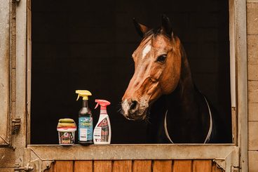 🦟🐴 LÉTO = SEZÓNA HMYZU. MĚJTE PO RUCE SPOLEHLIVÝ REPELENT! 🌿☀️