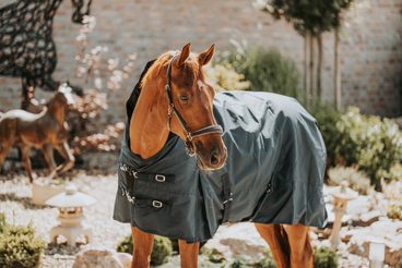 💸 Deka za pár korun? Ano! 🐴