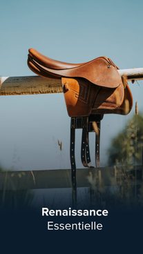 ✨ Renaissance Essentielle ✨Renaissance Saddles