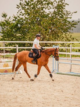 ✨ Uzdečka EQS Soft - když kůže mluví sama za sebe ✨