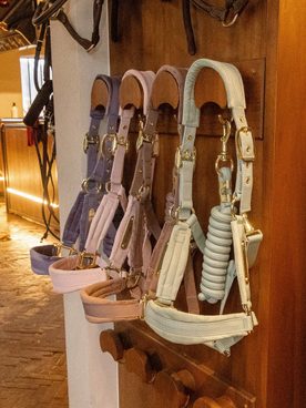 Upřímně – kdo dneska nezná Kentucky? 🐎 A ruku na srdce, je to přesně ta značka, kterou chce mít ve výbavě snad každej.